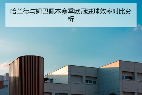 哈兰德与姆巴佩本赛季欧冠进球效率对比分析